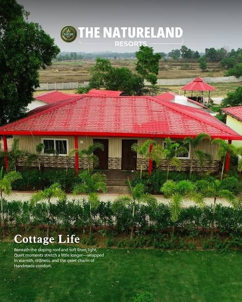 Garden View from Cottage